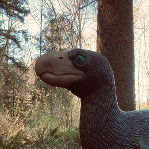 Meet your Posher, Clare